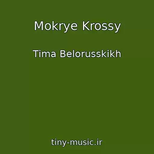کاور آهنگ Mokrye Krossy از Tima Belorusskikh