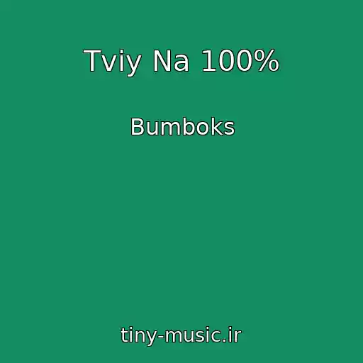 کاور آهنگ Tvіy Na 100% از Bumboks