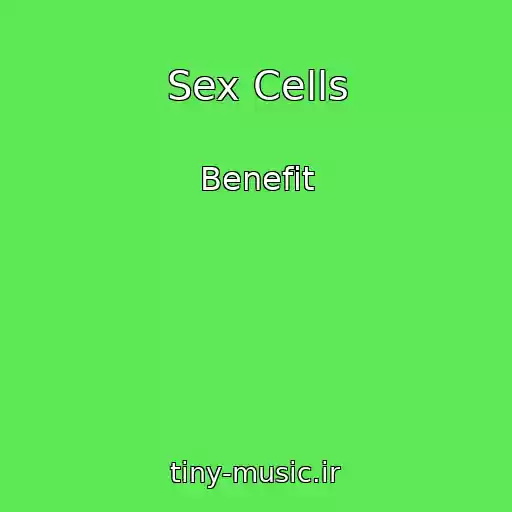 کاور آهنگ Sex Cells از Benefit