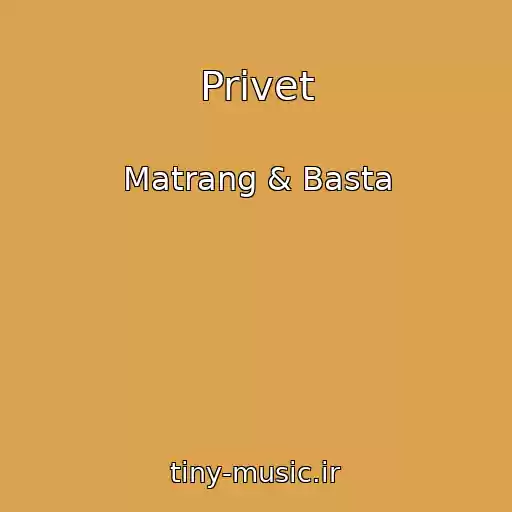 کاور آهنگ Privet از Matrang & Basta