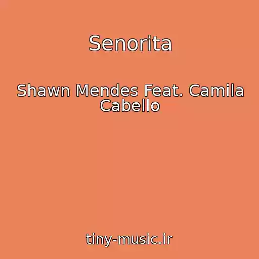 کاور آهنگ Senorita از Shawn Mendes Feat. Camila Cabello
