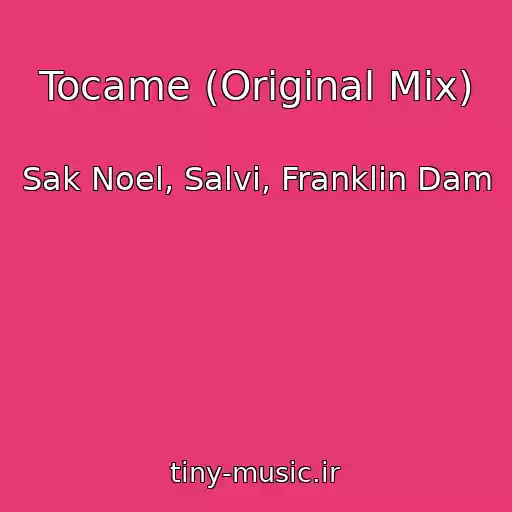 کاور آهنگ Tocame (Original Mix) از Sak Noel, Salvi, Franklin Dam