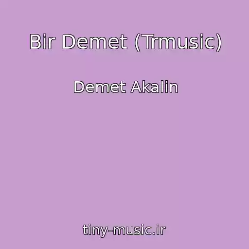 کاور آهنگ Bir Demet (Trmusic) از Demet Akalin