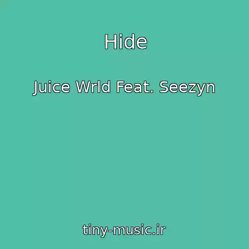 کاور آهنگ Hide از Juice Wrld Feat. Seezyn