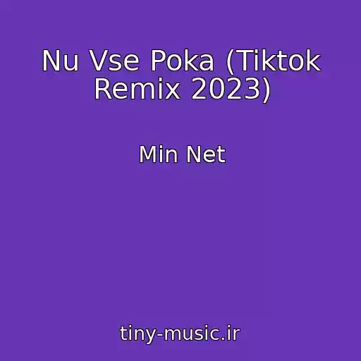 کاور آهنگ Nu Vse Poka (Tiktok Remix 2023) از Min Net