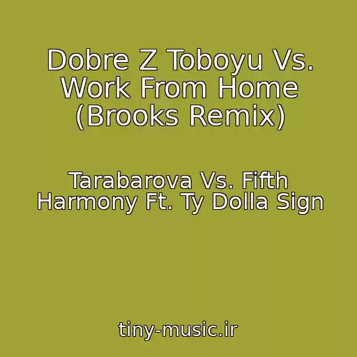 کاور آهنگ Dobre Z Toboyu Vs. Work From Home (Brooks Remix) از Tarabarova Vs. Fifth Harmony Ft. Ty Dolla Sign