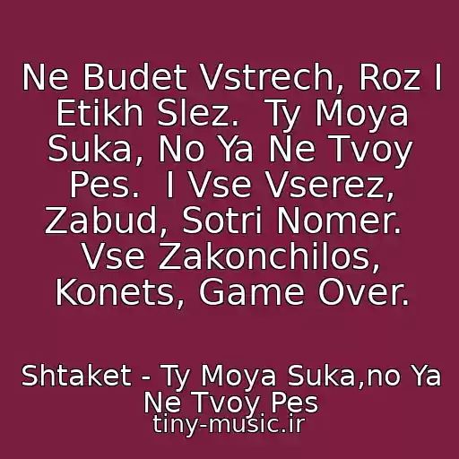 کاور آهنگ Ne Budet Vstrech, Roz I Etikh Slez.  Ty Moya Suka, No Ya Ne Tvoy Pes.  I Vse Vserez, Zabud, Sotri Nomer.  Vse Zakonchilos, Konets, Game Over. از Shtaket - Ty Moya Suka,no Ya Ne Tvoy Pes