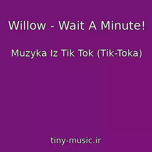کاور آهنگ Willow - Wait A Minute! از Muzyka Iz Tik Tok (Tik-Toka)