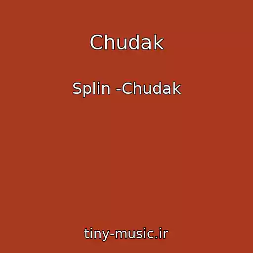 کاور آهنگ Chudak از Splin -Chudak