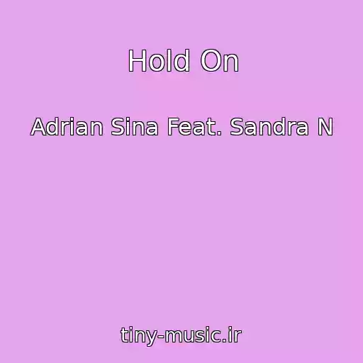 کاور آهنگ Hold On از Adrian Sina Feat. Sandra N