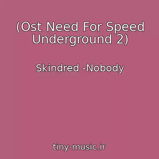 کاور آهنگ (Ost Need For Speed Underground 2) از Skindred -Nobody