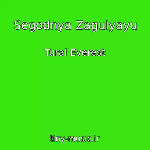 کاور آهنگ Segodnya Zagulyayu از Tural Everest