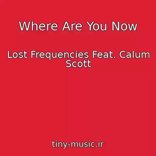 کاور آهنگ Where Are You Now از Lost Frequencies Feat. Calum Scott