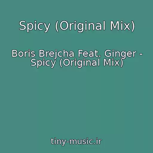 کاور آهنگ Spicy (Original Mix) از Boris Brejcha Feat. Ginger - Spicy (Original Mix)