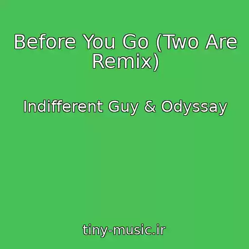 کاور آهنگ Before You Go (Two Are Remix) از Indifferent Guy & Odyssay