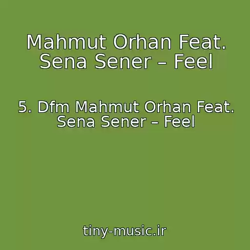 کاور آهنگ Mahmut Orhan Feat. Sena Sener – Feel از 5. Dfm Mahmut Orhan Feat. Sena Sener – Feel