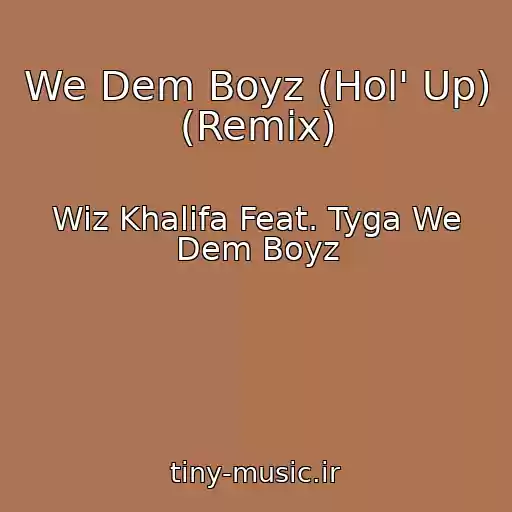 کاور آهنگ We Dem Boyz (Hol' Up) (Remix) از Wiz Khalifa Feat. Tyga We Dem Boyz
