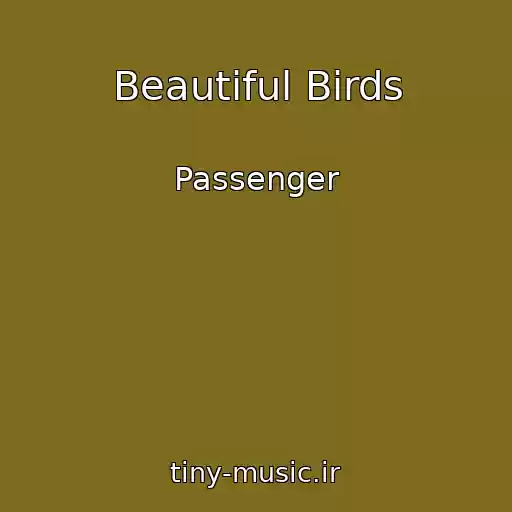 کاور آهنگ Beautiful Birds از Passenger