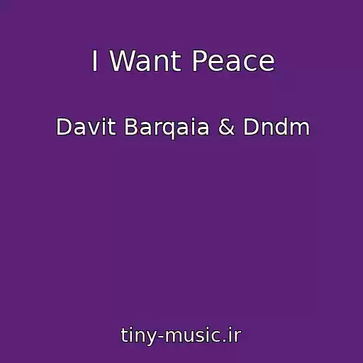 کاور آهنگ I Want Peace از Davit Barqaia & Dndm