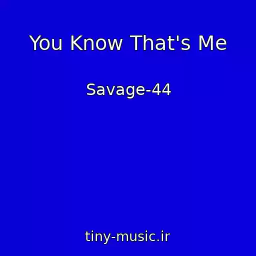 کاور آهنگ You Know That's Me از Savage-44