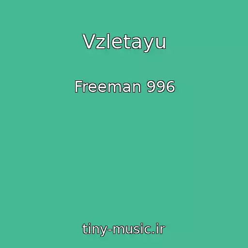 کاور آهنگ Vzletayu از Freeman 996