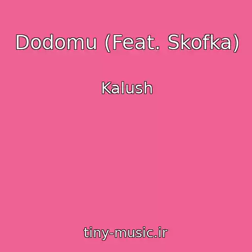 کاور آهنگ Dodomu (Feat. Skofka) از Kalush