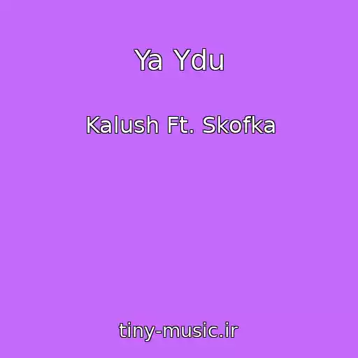 کاور آهنگ Ya Ydu از Kalush Ft. Skofka