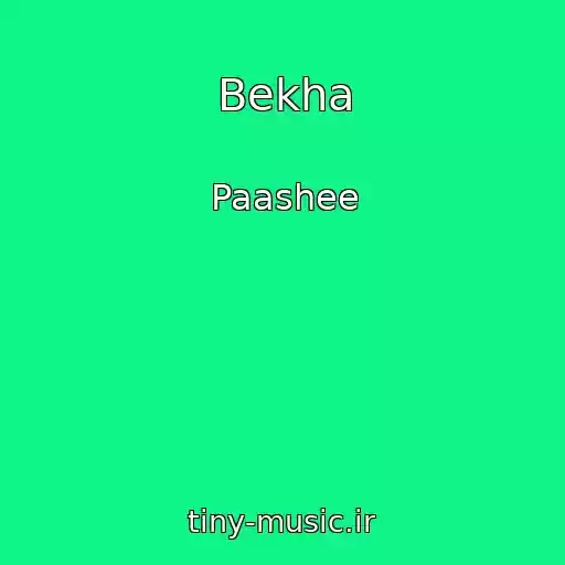کاور آهنگ Bekha از Paashee