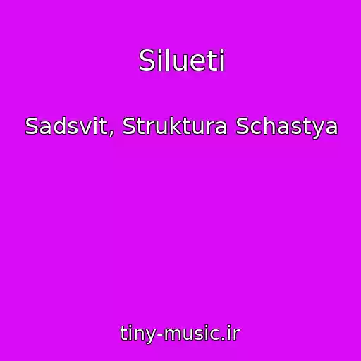 کاور آهنگ Silueti از Sadsvit, Struktura Schastya