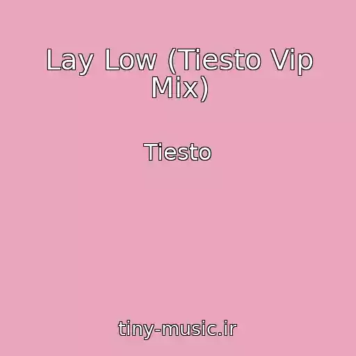 کاور آهنگ Lay Low (Tiesto Vip Mix) از Tiesto