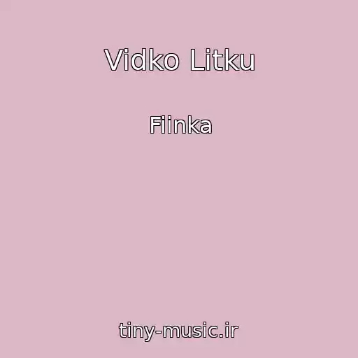کاور آهنگ Vidko Litku از Fiinka