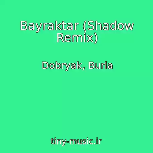 کاور آهنگ Bayraktar (Shadow Remix) از Dobryak, Burla
