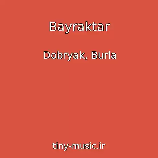 کاور آهنگ Bayraktar از Dobryak, Burla