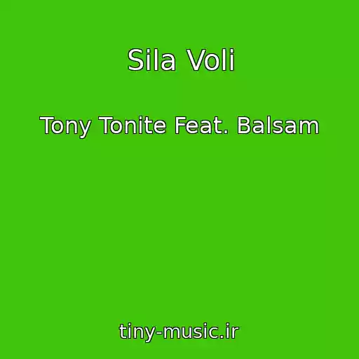 کاور آهنگ Sila Volі از Tony Tonite Feat. Balsam