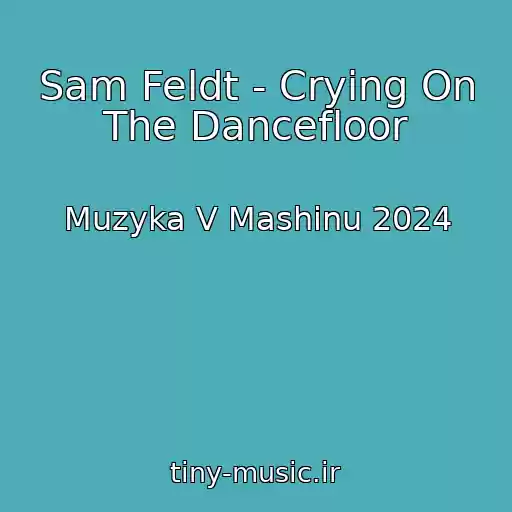 کاور آهنگ Sam Feldt - Crying On The Dancefloor از Muzyka V Mashinu 2024