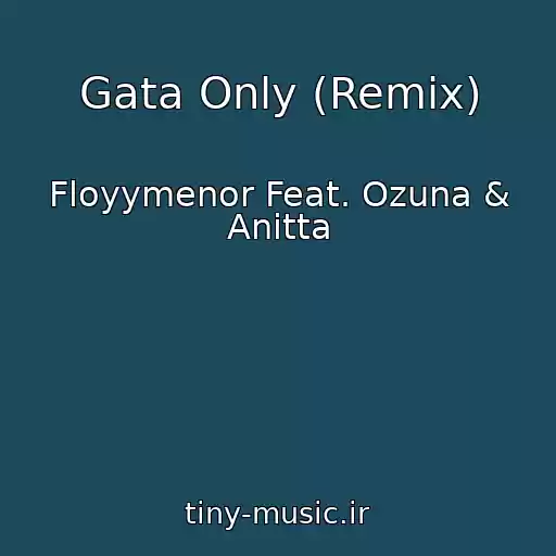 کاور آهنگ Gata Only (Remix) از Floyymenor Feat. Ozuna & Anitta