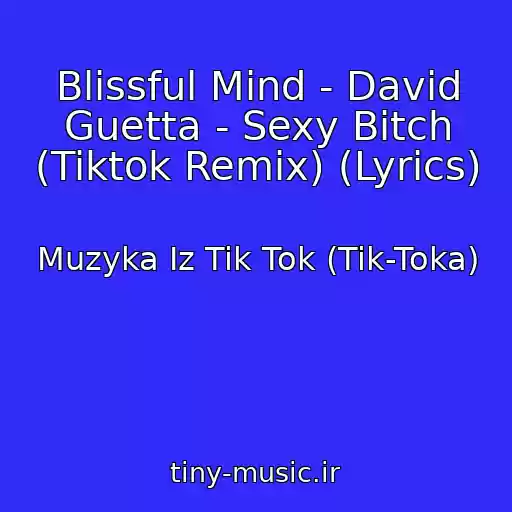 کاور آهنگ Blissful Mind - David Guetta - Sexy Bitch (Tiktok Remix) (Lyrics) از Muzyka Iz Tik Tok (Tik-Toka)