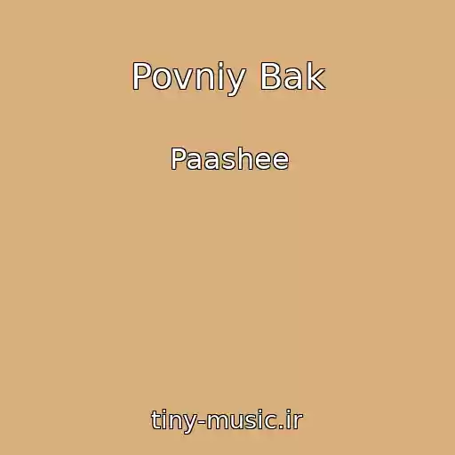 کاور آهنگ Povniy Bak از Paashee