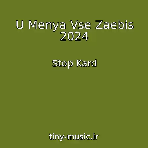 کاور آهنگ U Menya Vse Zaebis 2024 از Stop Kard