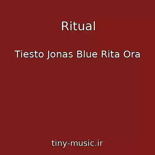 کاور آهنگ Ritual از Tiesto Jonas Blue Rita Ora