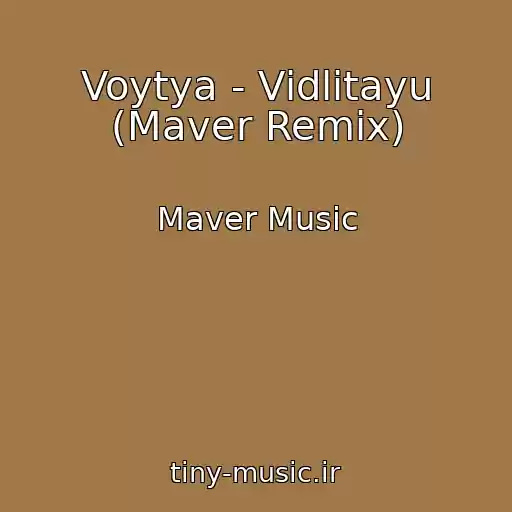 کاور آهنگ Voytya - Vіdlіtayu (Maver Remix) از Maver Music