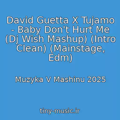 کاور آهنگ David Guetta X Tujamo - Baby Don't Hurt Me (Dj Wish Mashup) (Intro Clean) (Mainstage, Edm) از Muzyka V Mashinu 2025