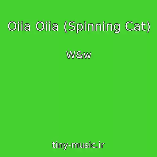 کاور آهنگ Oiia Oiia (Spinning Cat) از W&w