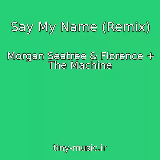 کاور آهنگ Say My Name (Remix) از Morgan Seatree & Florence + The Machine