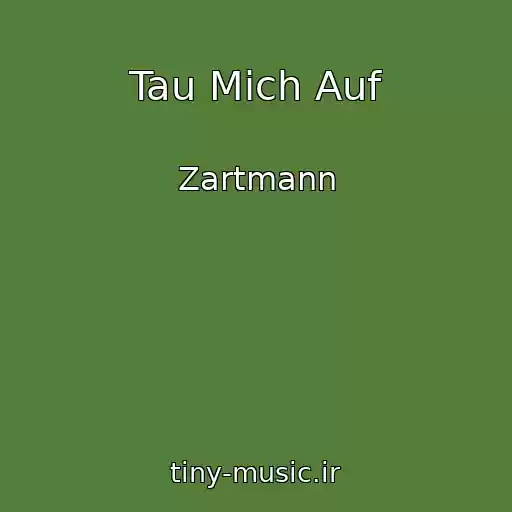 کاور آهنگ Tau Mich Auf از Zartmann