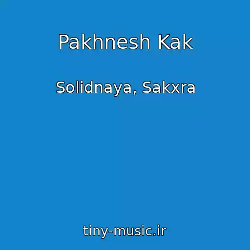 کاور آهنگ Pakhnesh Kak از Solidnaya, Sakxra