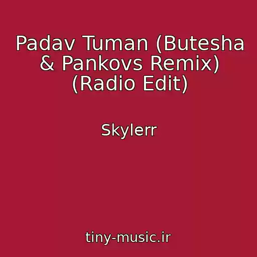 کاور آهنگ Padav Tuman (Butesha & Pankovs Remix) (Radio Edit) از Skylerr
