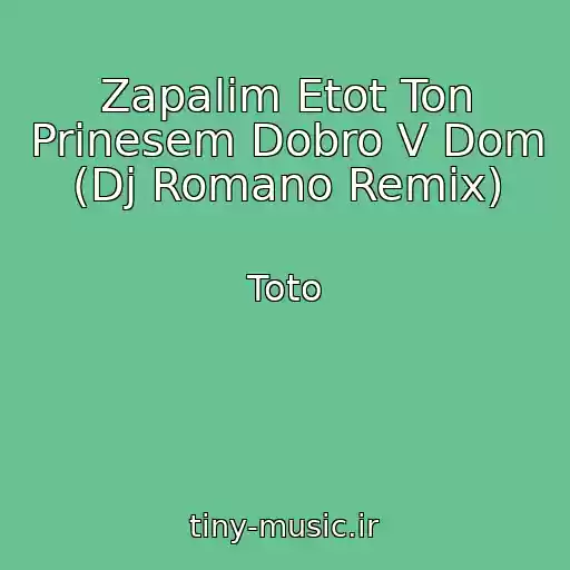 کاور آهنگ Zapalim Etot Ton Prinesem Dobro V Dom (Dj Romano Remix) از Toto