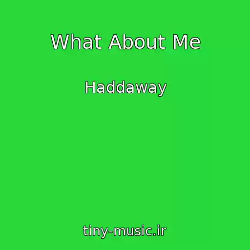 کاور آهنگ What About Me از Haddaway
