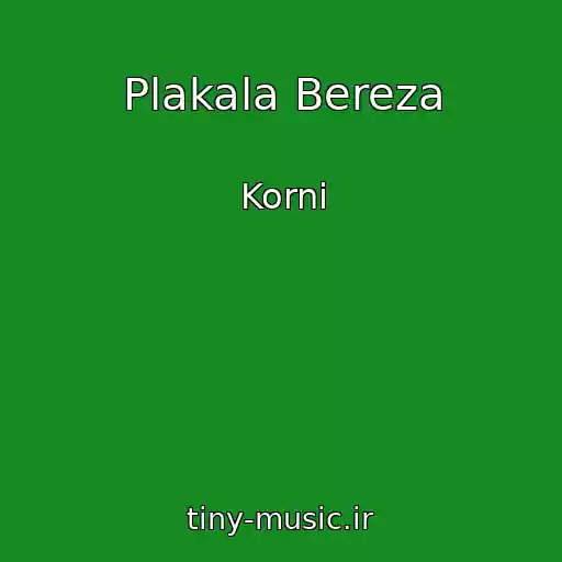 کاور آهنگ Plakala Bereza از Korni